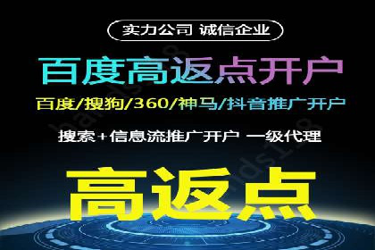 案例分析：百度推广成功案例解析
